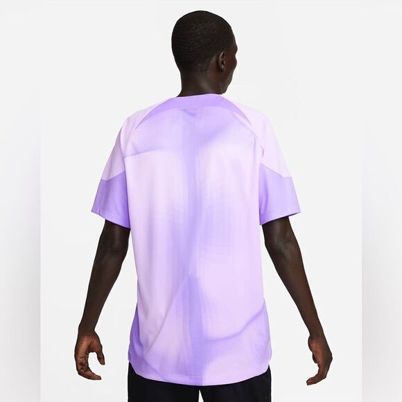 NIKE Stadium Goalkeeper Dri-FIT Short-Sleeve France Soccer Jersey *NEW* - Picture 2 of 15